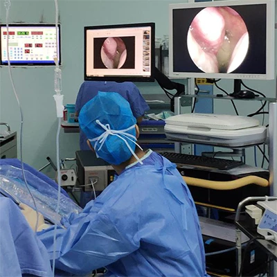 Voorbeelden van producttoepassingen---Medische elektronische neusendoscopen